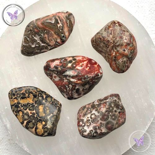 Leopard Skin Jasper Tumble Stone